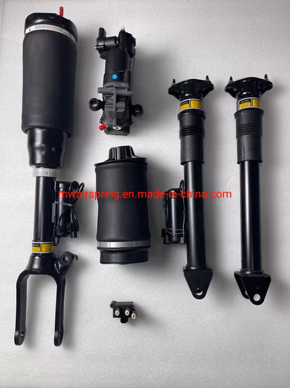 A8d4 Air Shock Absorber for Audi Air Spring Strut 4e0616001 4e0616002